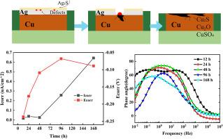 Localized corrosion and degradation of PCB-ImAg in sulfur-containing environments: a comparative study with PCB-Cu