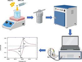 Nanoplates of MWCNT_V2O5 nanocomposites using hydrothermal method for energy storage application