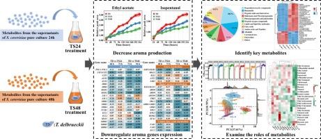Unveiling the yeast interaction: Insights into the role of Saccharomyces cerevisiae metabolites in regulating Torulaspora delbrueckii aroma biosynthesis during wine fermentation