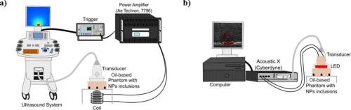 Oleic acid-coated iron oxide nanoparticles for enhanced magnetomotive ultrasound and photoacoustic imaging in oil-based phantoms