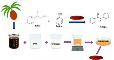 Arecanut organic residue-enhanced polymer films: An efficient catalyst for amidation reactions