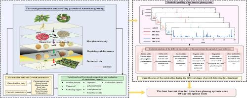 Gibberellin improved the health-promoting properties of American ginseng sprouts
