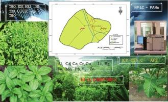 Analysis and human health evaluation of trace metals and polycyclic aromatic hydrocarbons in Ocimum basilicum and Vernonia amygdalina cultivated close to industrial markets in Owerri, Imo State