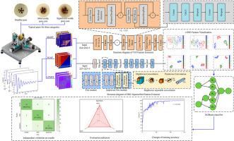 Acoustic-vibration detection of moldy pear core: a novel approach combining image coding and hybrid deep learning