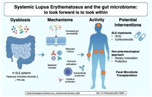 Systemic lupus erythematosus and the gut microbiome: To look forward is to look within – A systematic review and narrative synthesis