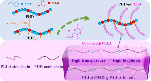 Hafnium-Catalyzed Controlled Polymerization of 1,5-Hexadiene toward Polyolefin-Based Graft Copolymers for Poly(lactic Acid) Toughening with High Transparency