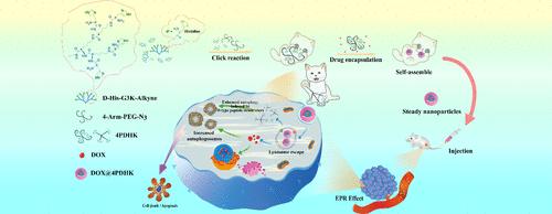 Multifunctional D-Type Peptide Dendrimer-Based Nanocarriers Enabling Inherent Autophagy Modulation and Lysosomal Escape for Breast Tumor Therapy