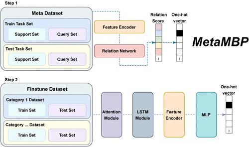 MetaMBP: Few-Shot Multilabel Prediction of Bioactive Peptides Based on Deep Metric Meta-Learning