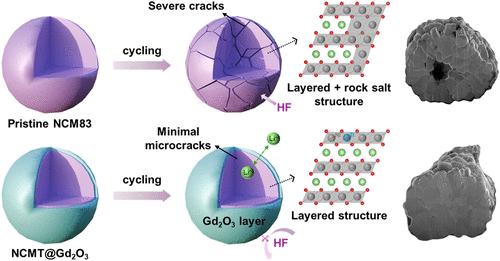 Synergistic Bulk-to-Surface Modification of Ni-Rich Cathodes for High-Performance Lithium-Ion Batteries