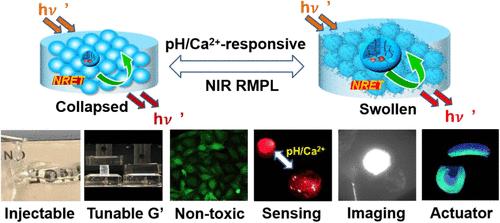 Programmable Injectable Dual-Responsive Hydrogels with NIR Ratiometric Self-Monitoring of pH/Ca2+ for Sensing and Actuation