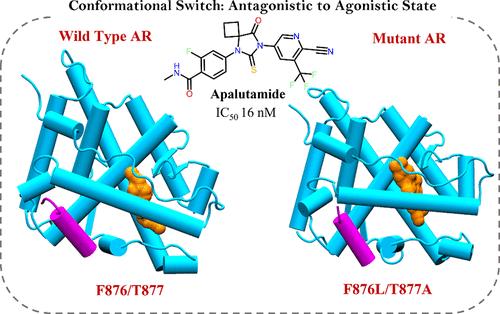 Unveiling Ligand-Induced Conformational Changes in Mutant AR-LBD: Molecular Dynamics Insights into the Androgen Receptor-Coactivator Mechanism