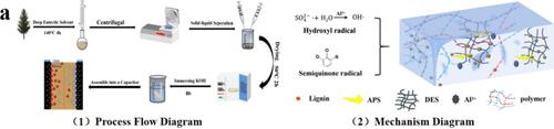 Study on the Mechanism of Using DES Containing Lignin as the Gel Electrolyte for Supercapacitors