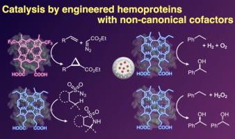 Engineered hemoproteins containing non-canonical cofactors toward artificial metalloenzymes