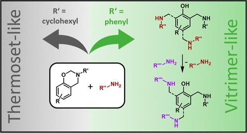 Effect of Molecular Structure on Polymerization and Dynamic Exchange Reactions in Benzoxazine/Polyetheramine-Based Covalent Adaptable Networks
