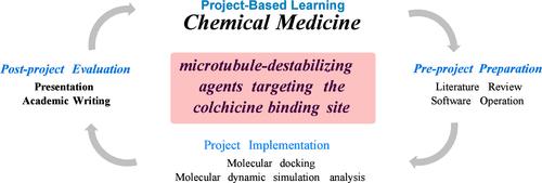 Project-Based Learning in Medicinal Chemistry: Virtual Screening of a Novel Microtubule-Destabilizing Agents Targeting the Colchicine Binding Site