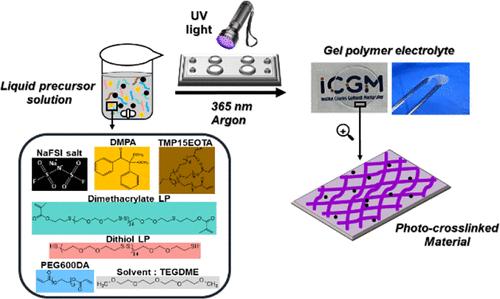 New Sulfur-Containing Gel Polymer Electrolytes for Sodium–Metal Batteries