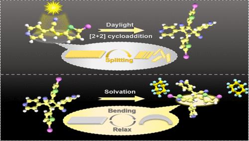 Visible-Light Driven Dynamic Crystal Actuators: From [2+2] Photodimerization-Induced Fracturing to Elastic Cyclobutane Solvates
