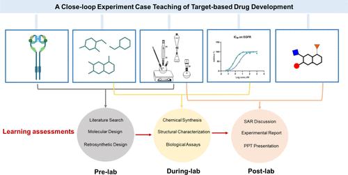 Advancing Target-Based Drug Design Strategy Learning in the Third-Year Pharmaceutical Science Undergraduates: Design, Synthesis and Biological Activity Evaluation of EGFR Inhibitors