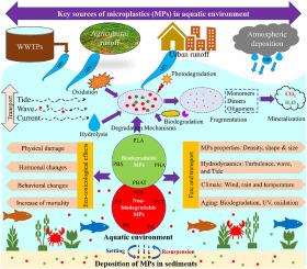 A review on fate and transport of biodegradable and non-biodegradable microplastics in the aquatic environment
