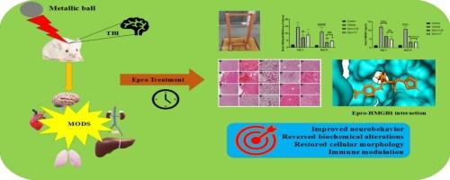 Eprosartan alleviates the traumatic brain injury-induced multi-organ dysfunction syndrome in mice via AT1R/SNS/HMGB1 blockade and PDL-1 modulation