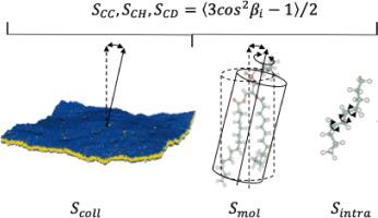 Order parameters in membranes: Following Joachim Seelig's path