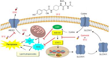 Enhancing ferroptosis and inhibiting ABCB1 make the novel aldose reductase inhibitor 5F-E a promising sensitizer in liver cancer