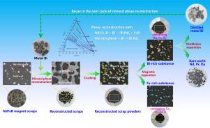 Rationally designed mineral phase reconstruction for selective extraction and full-component recovery of Nd-Fe-B magnet scraps