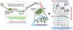 A novel hydrolase biomanufacturing-driven strategy for boosting production of volatile fatty acids and vivianite in iron-rich waste activated sludge fermentation