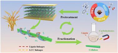 Magnetically recyclable vanadium-substituted phosphotungstic acid in a deep eutectic solvent for effective wheat straw fractionation