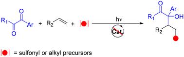 Kinetic-control difunctionalization of olefins to α-hydroxycarbonyls under catalyst-free conditions