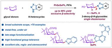 Metal-free synthesis of diverse 2-deoxy-β-N-glycosides through regio- and stereospecific aminoselenenylation of glycals