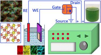 Designing copper sulfide nanocrystal-based non-enzymatic glucose sensors: an electrochemical and field-effect transistor-based sensing strategy