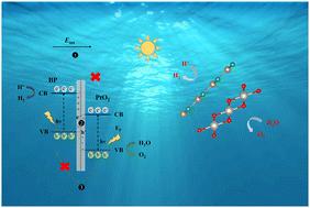 Design and performance of a promising Z-scheme photocatalyst: a BP/PtO2 heterojunction for efficient water splitting