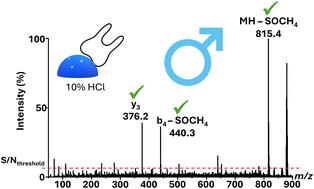 Rapid and accurate biological sex estimation by LAP-MALDI MS analysis of child teeth