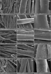 Facile Antimicrobial and Flame-Retardant Treatment on Denim Clothing Using Citric Acid: Influence of Concentration and Application Method