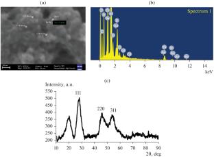 Luminescent Nanoparticles of Chitosan–Carrageenan Polyelectrolyte Complex as Promising Multifunctional Vancomycin Delivery Systems