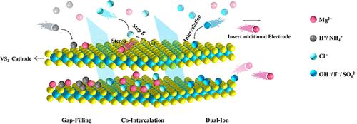Cooperative Design of Magnesium Ions with Cations or Anions in 2D VS2 Electrodes