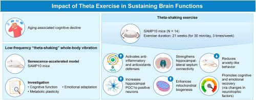 Theta-shaking mitigates cognitive-emotional decline via subiculum and ventral septum metabolic plasticity