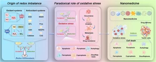 The role of redox homeostasis in tumor progression: implications for cancer therapy