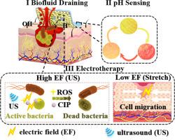 Smart wound management with sustainable pH sensing and dynamic electrotherapy