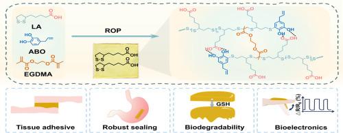 Self-reinforceable poly(lipoic acid)-based tough underwater tissue bioadhesive