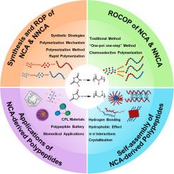 Ring-opening polymerization of N-carboxyanhydrides: An efficient approach toward peptides, peptoids, and functional materials