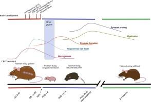 Chlorpyrifos and neuroendocrine function: Concerns for research with free-living mammal populations
