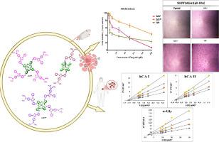 Cytotoxic activity against neuroblastoma and mouse fibroblast cell lines, in silico molecular modeling studies and enzyme activity of axial silicon, both peripheral and non-peripheral zinc phthalocyanines