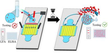 Enhancing commercially available immunoassays through a customized electrokinetic biomolecular preconcentration device†