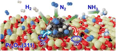 Oxygen vacancy-rich Pr6O11: unlocking superior catalytic support for efficient ammonia synthesis