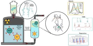 A preorganized triarmed bis-triazolylpyridine-calix[4]arene with high affinity and selectivity for minor actinides for nuclear waste treatment