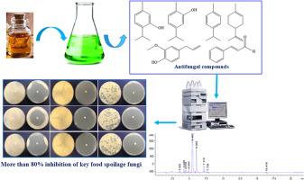 Development of antifungal formulations using silver nanoparticles and natural antimicrobials for food preservation