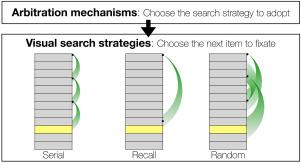 Modeling how menu search strategies develop with experience