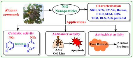 Biogenic nickel oxide nanoparticles for the catalytic reduction of nitrobenzene derivatives and their anticancer and antioxidant activities